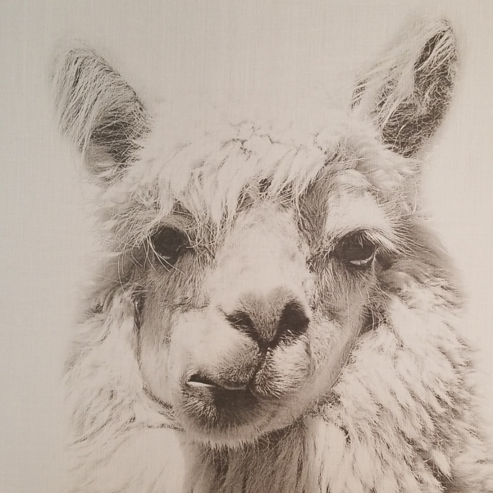 🤑HUGE DISCOUNTS ON BUNDLES! 🤑